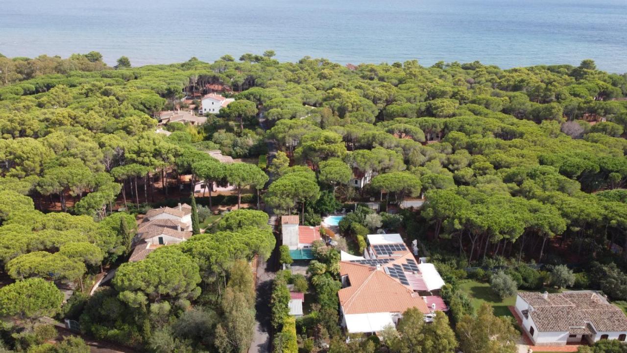 サンタ・マルゲリータ・ディ・プーラ Jungle House - Pineta Is Morusヴィラ エクステリア 写真