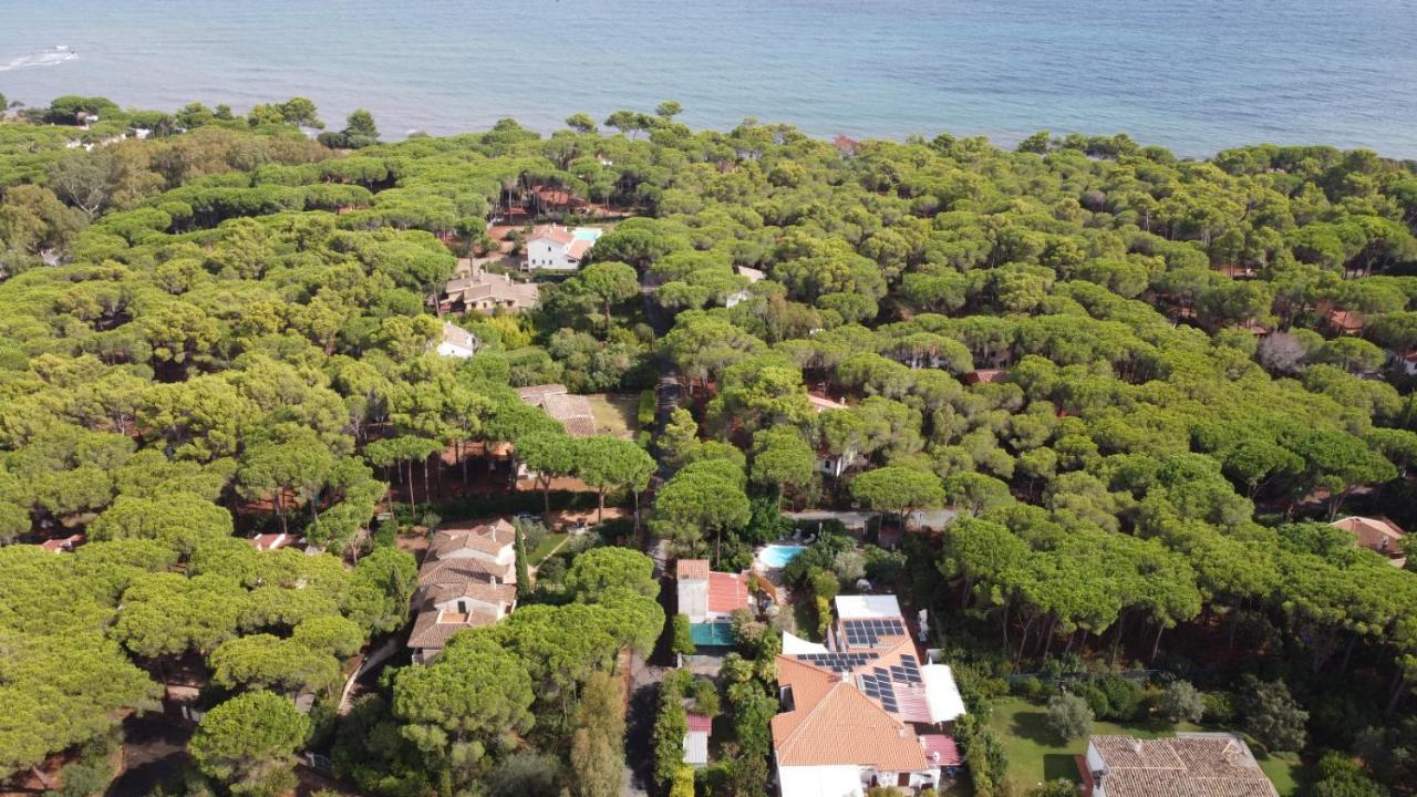 サンタ・マルゲリータ・ディ・プーラ Jungle House - Pineta Is Morusヴィラ エクステリア 写真